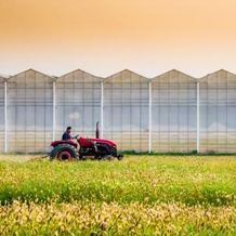 社會(huì)責(zé)任